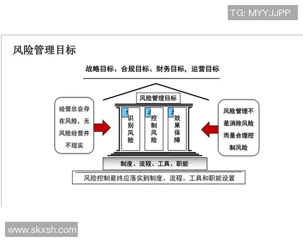 基于PEL圈形应对分析的企业风险管理策略研究与实践探索